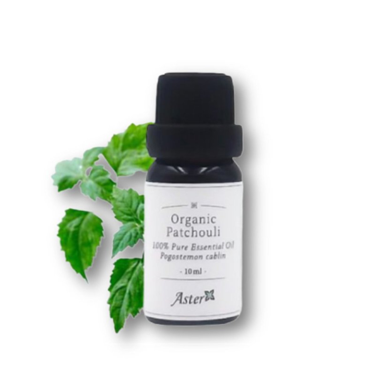 Organic Patchouli Essential Oil (Pogostemon patchouli) - 10ml