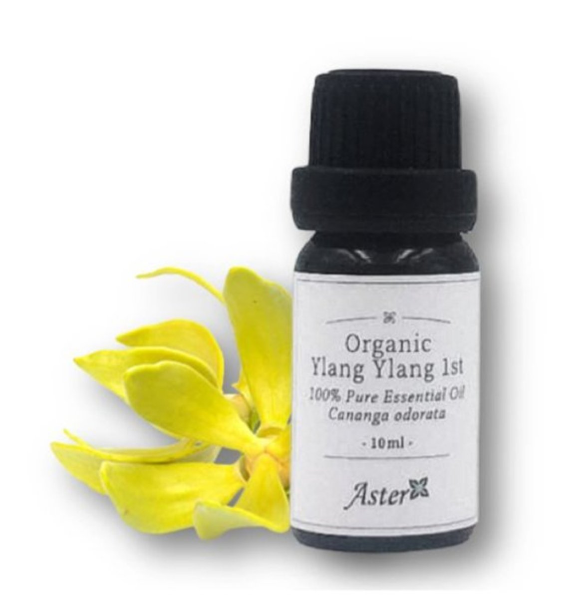 Organic Ylang Ylang 1st Essential Oil (Cananga odorata) - 10ml