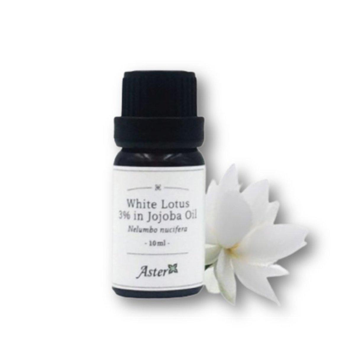 3% White Lotus Absolute (Nelumbo nucifera) in Organic Jojoba Oil (Simmondsia chinensis) - 10ml