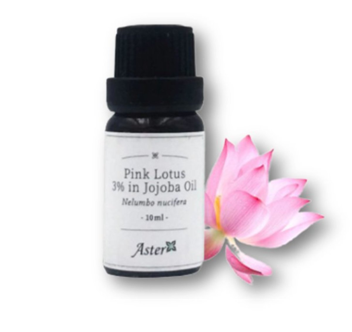 3% Pink Lotus Absolute (Nelumbo nucifera) in Organic Jojoba Oil (Simmondsia chinensis) - 10ml