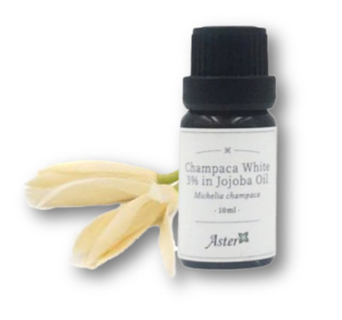 3% White Champaca Absolute (Michelia champaca) in Organic Jojoba Oil (Simmondsia chinensis) - 10ml