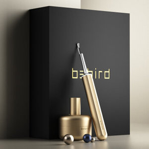 bebird 【原裝行貨】X17 Pro 智能可視清潔棒 耳勺 挖耳神器 1080P高清鏡頭 金色