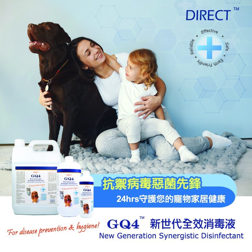 DIRECT GQ4 Synergistic Disinfectant 5L (Super Concentrate/Antiseptic