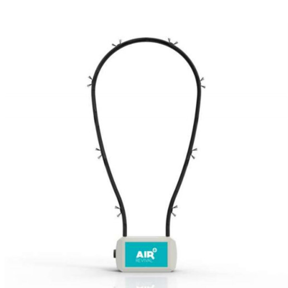 Air Purifier: For the Home