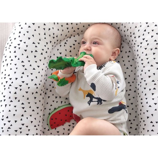 kale teething toy
