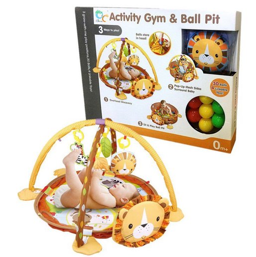 grow with me 3 in 1 activity gym