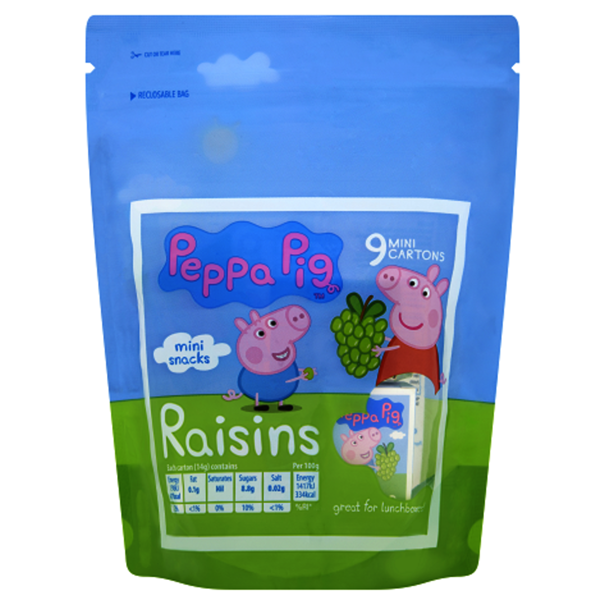 Raisins 9 x 14g mini packs | Best Before: 1 Jun 2025