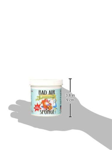 BAD AIR SPONGE, 強力除甲醛環保空氣淨化劑400g (平行進口貨)