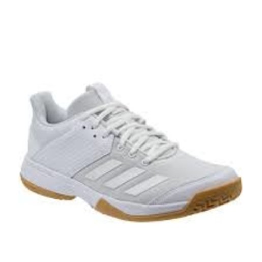 ligra 6 mens indoor court shoes