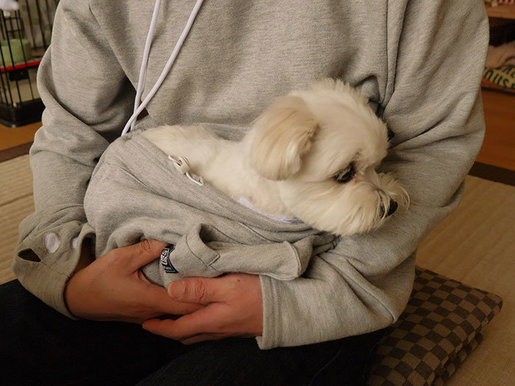 dog kangaroo pouch hoodie