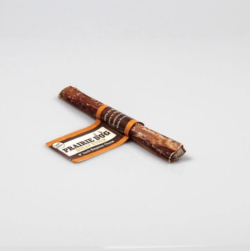 prairie dog bully bites