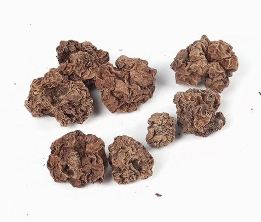 Regal 貓咪減壓潔齒磨牙天然虫癭果零食 45g Hktvmall 香港最大網購平台
