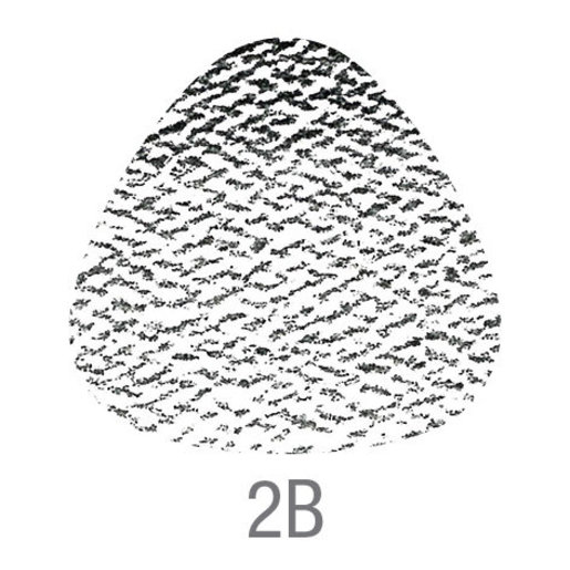 輝栢嘉 Grip 2001 2B鉛筆12支裝x 2 盒 HKTVmall 香港最大網購平台