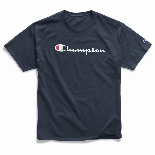 men's champion graphic jersey tee