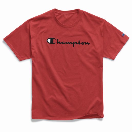 champion men's graphic jersey short