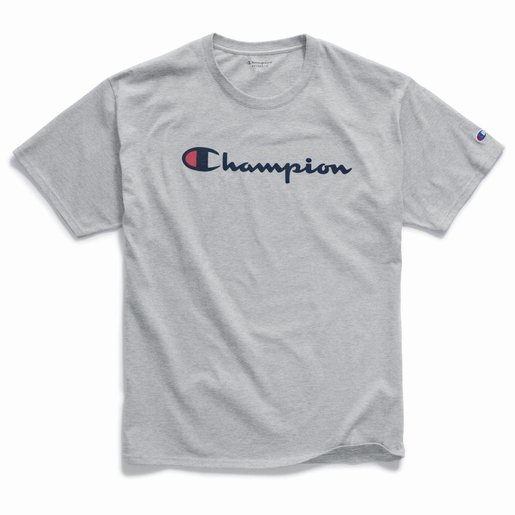 Champion gt23h outlet