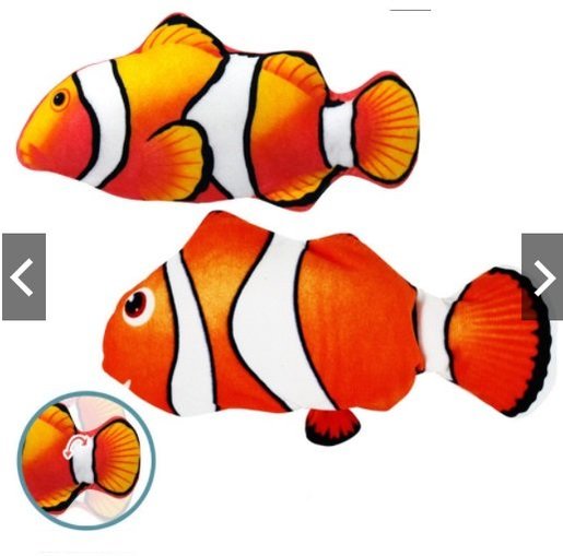 https://images.hktv-img.com/images/HKTV/26499/NEMO-FISH_product_58732181_20210127093250_01_515.jpg