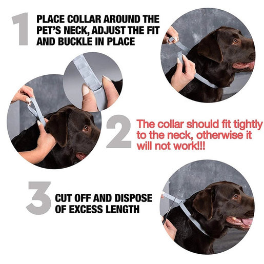 K Mart Large 殺蚤除牛蜱頸帶 8公斤或以上犬隻 平行進口 狗用跳蚤和蝨子頸圈 可調防水頸圈 Hktvmall 香港最大網購平台