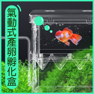 全城熱賣 大 魚苗繁殖箱隔離箱孵化箱幼魚產卵孵化箱13 5 14 8cm Hktvmall 香港最大網購平台 全城熱賣 大 魚苗繁殖箱隔離箱孵化箱幼魚產卵孵化箱13 5 14 8cm Hktvmall 香港最大網購平台