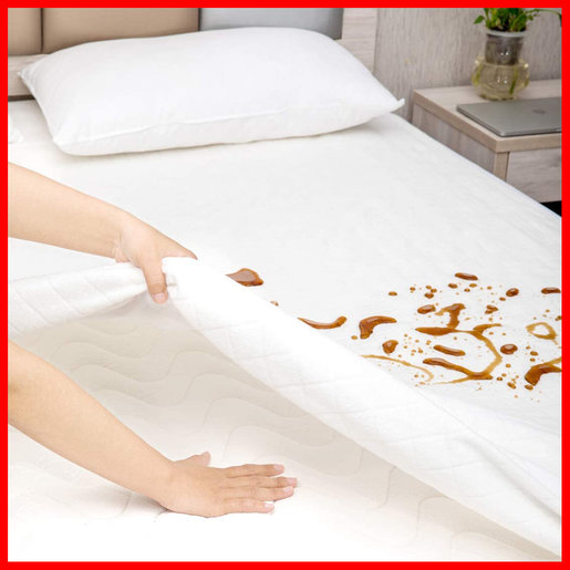 Waterproof Mattress Protector Mattress 