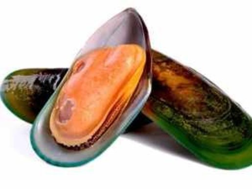 How To Cook Frozen Half Shell Mussels