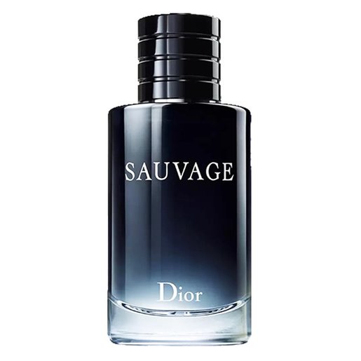 DIOR | Dior 迪奥旷野男士香水EDT 100ml 男士香水（3348901250146