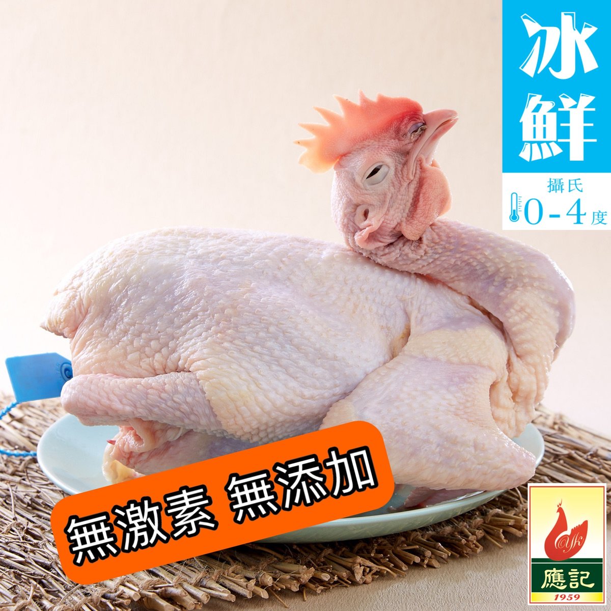 文昌皇雞 (無添加激素 - 香港SGS驗證)（冰鮮 0-4度）