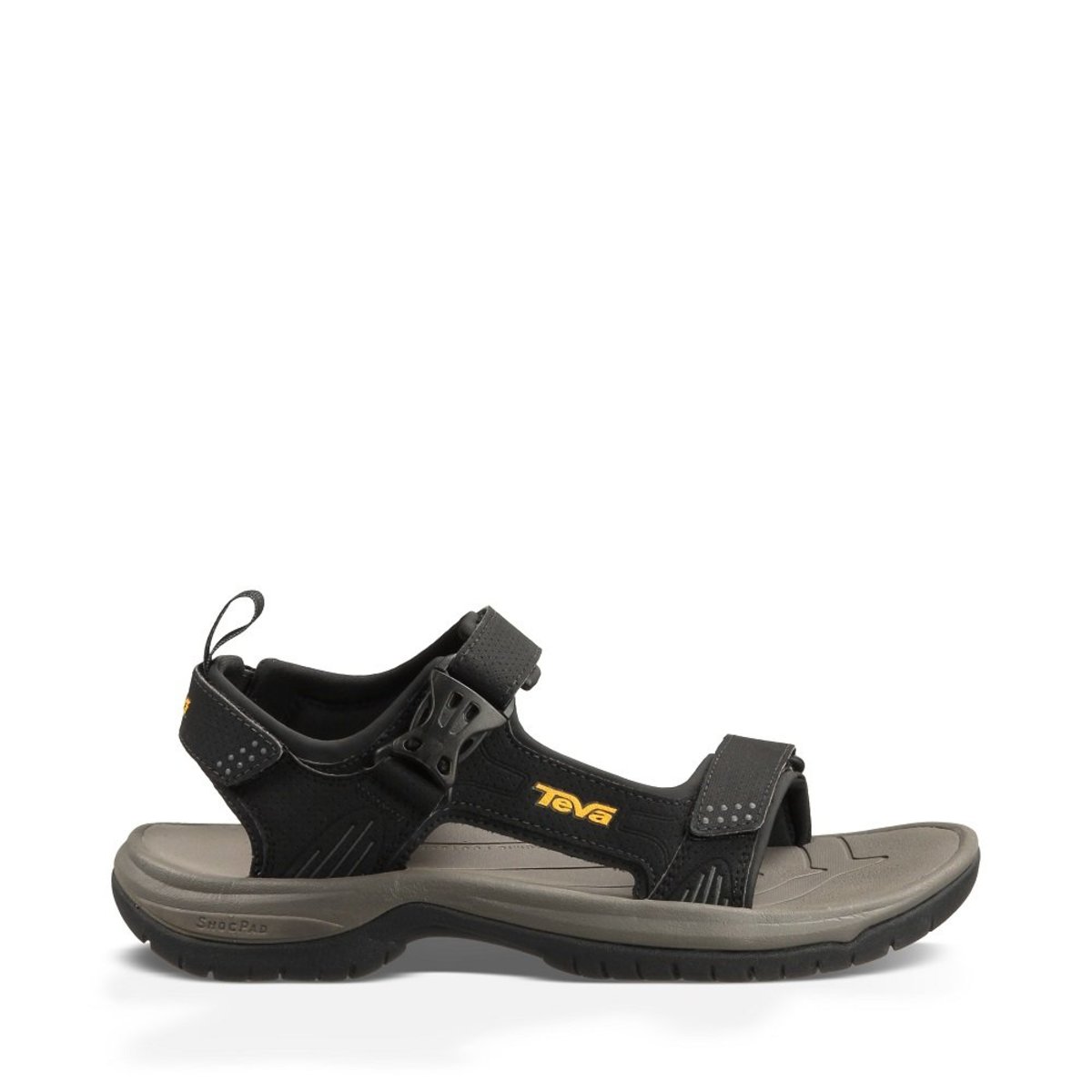 teva holliway