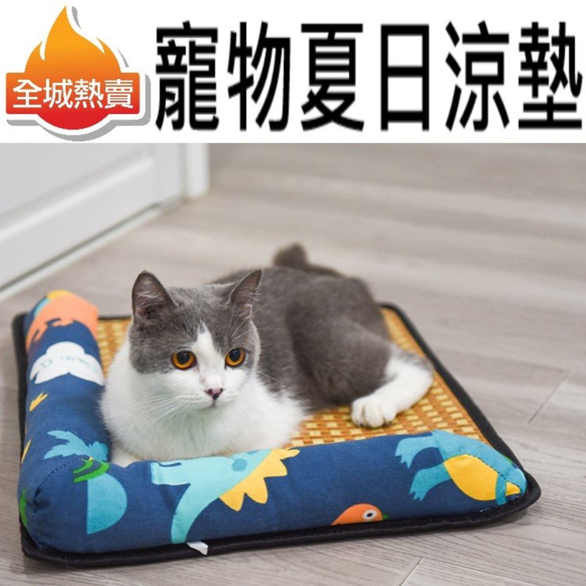 [50cm*40cm,藍色] 寵物夏日涼墊 日式 冰涼 冷感 寵物 降溫竹蓆 貓窩 狗窩