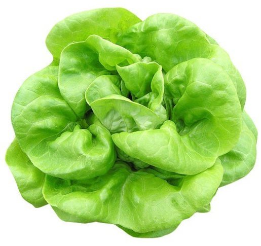 有生機 牛油生菜 約300g Hktvmall 香港最大網購平台