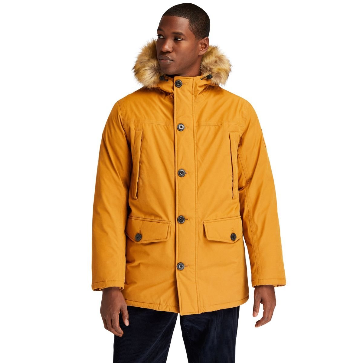 timberland boundary parka