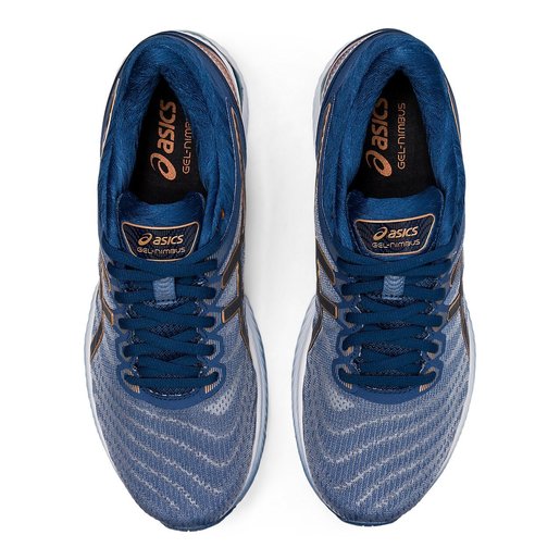 gel nimbus 2e