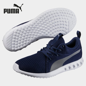 puma 2