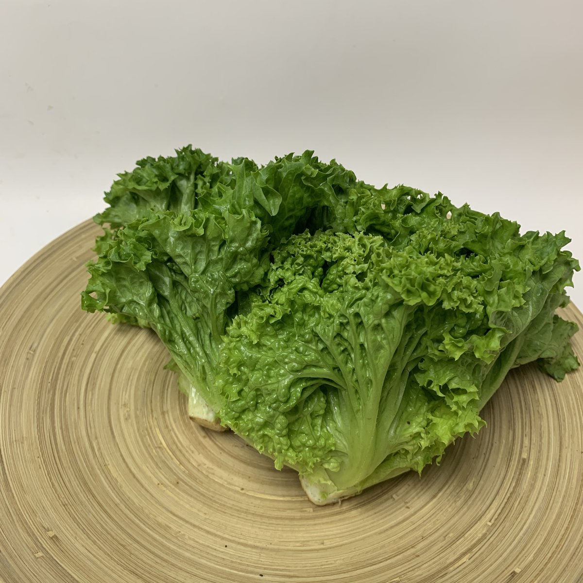 Fresh Green Coral(about 200g)