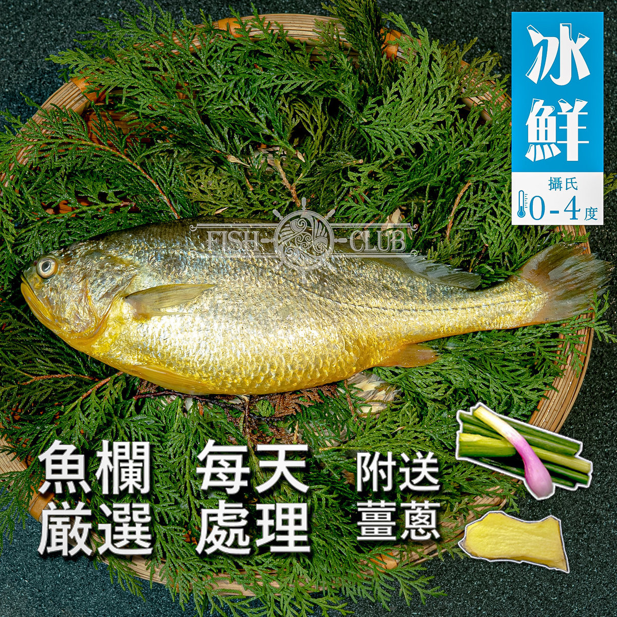 鮮魚薈 冰鮮黃花魚 去鱗去鰓去臟 附送薑蔥 冰鮮0 4 C Hktvmall 香港最大網購平台