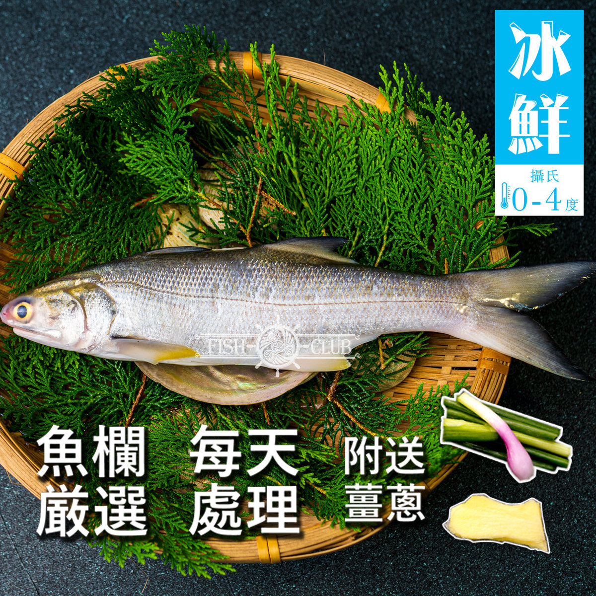 鮮魚薈 冰鮮馬友魚 去鱗去鰓去臟 附送薑蔥 冰鮮0 4 C Hktvmall 香港最大網購平台