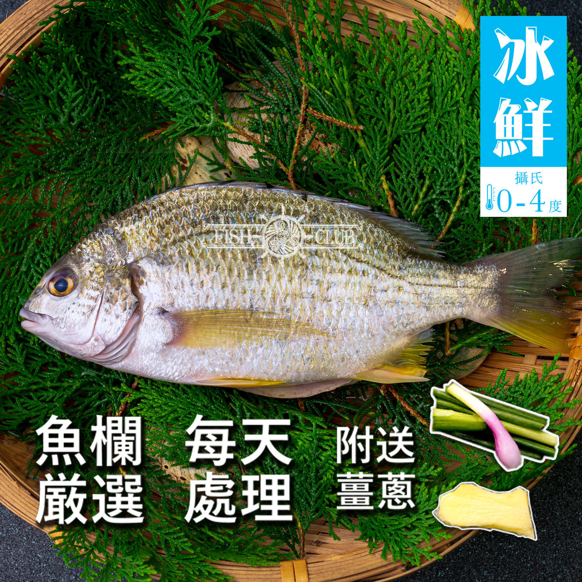 鮮魚薈 冰鮮黃腳立魚 去鱗去鰓去臟 附送薑蔥 冰鮮0 4 C Hktvmall 香港最大網購平台