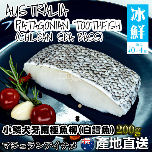 鮮魚薈 冰鮮澳洲小鱗犬牙南極魚 白鱈魚柳 0克 冰鮮0 4 C Hktvmall 香港最大網購平台