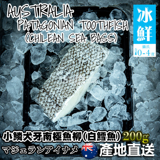 鮮魚薈 冰鮮澳洲小鱗犬牙南極魚 白鱈魚柳 0克 冰鮮0 4 C Hktvmall 香港最大網購平台