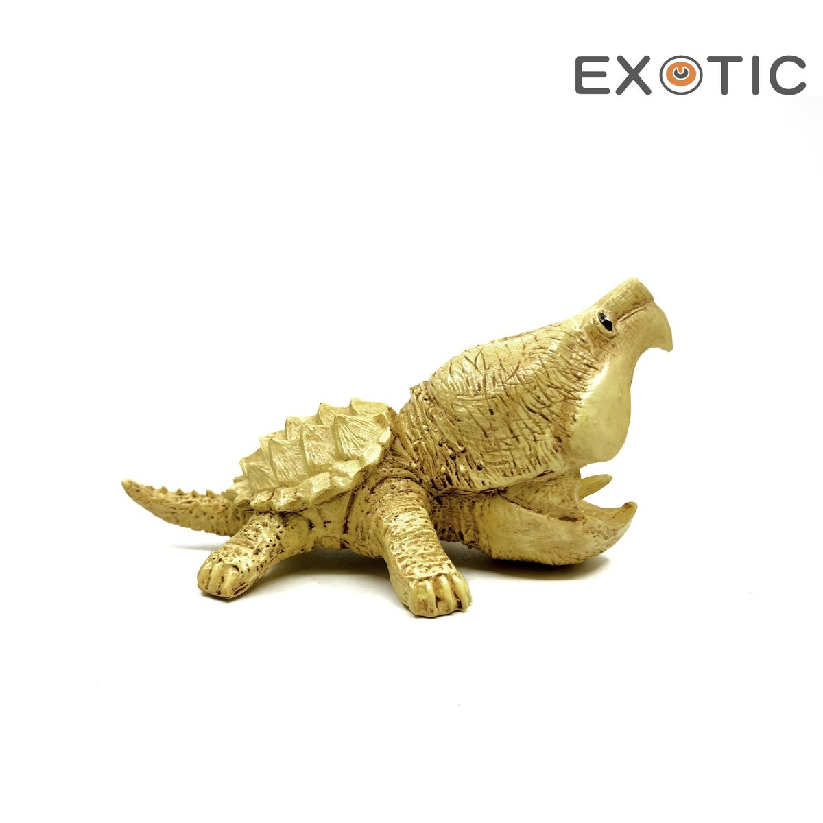 EXOTIC | Q版大頭烏龜模型 | 白化鱷龜 | HKTVmall 香港最大網購平台