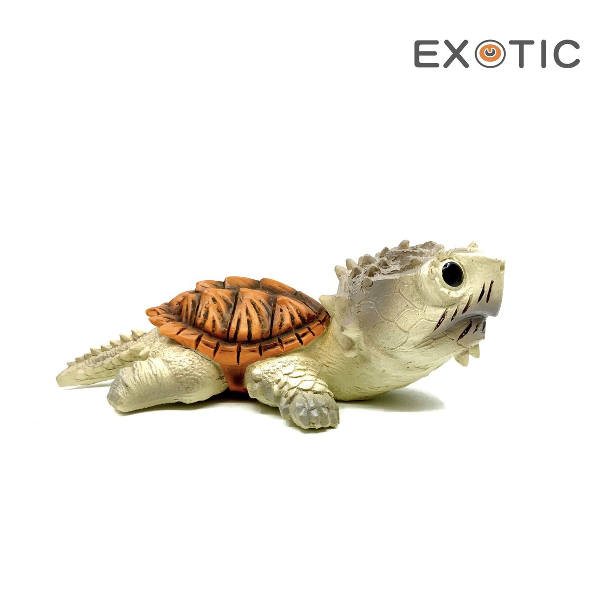 EXOTIC | Q版大頭烏龜模型 | 佛州擬鱷龜 | HKTVmall 香港最大網購平台