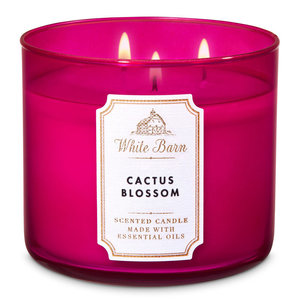 bath and body works cactus candle