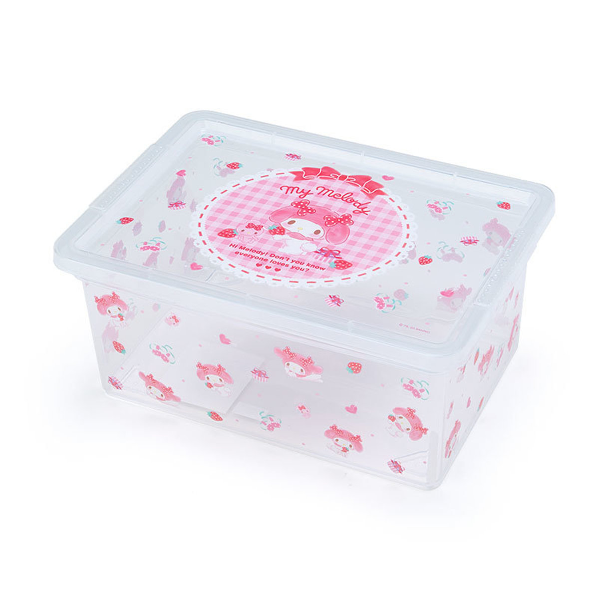 transparent plastic storage containers