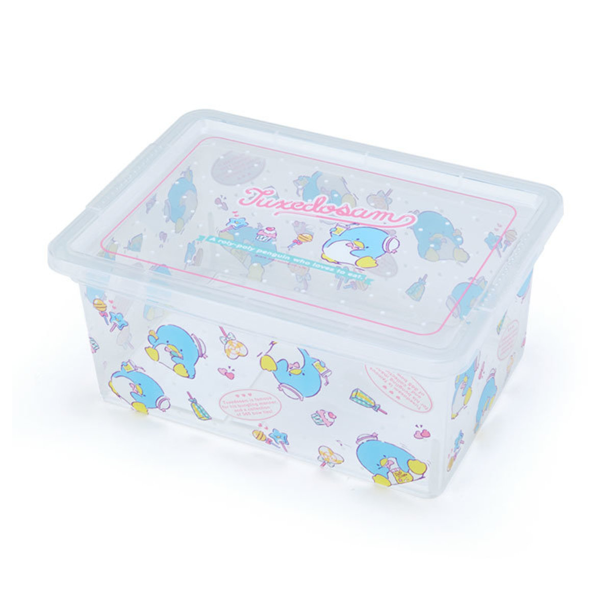 transparent plastic storage box