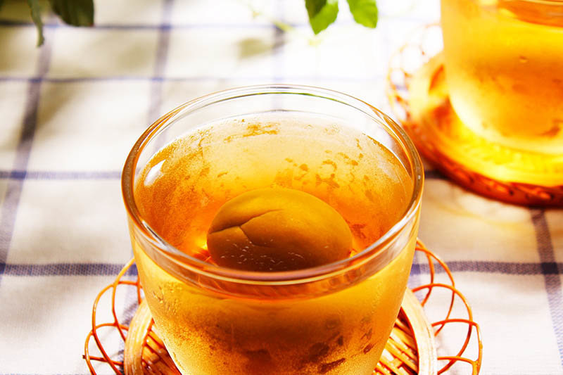 Choya | 紀州梅酒430毫升| HKTVmall 香港最大網購平台