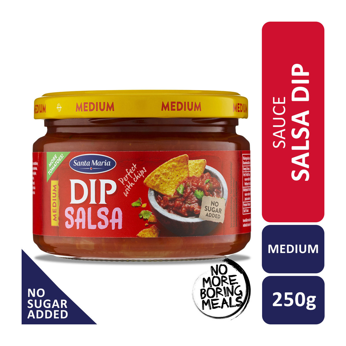 Salsa Dip Medium 250g (Best before: 28 Jun 2025)