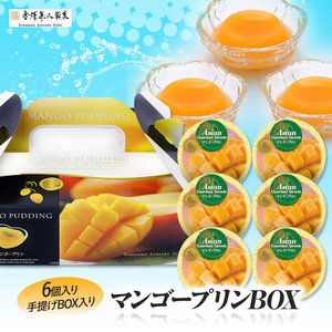 日本直送 金澤兼六製菓 芒果布丁禮盒 (6個裝)