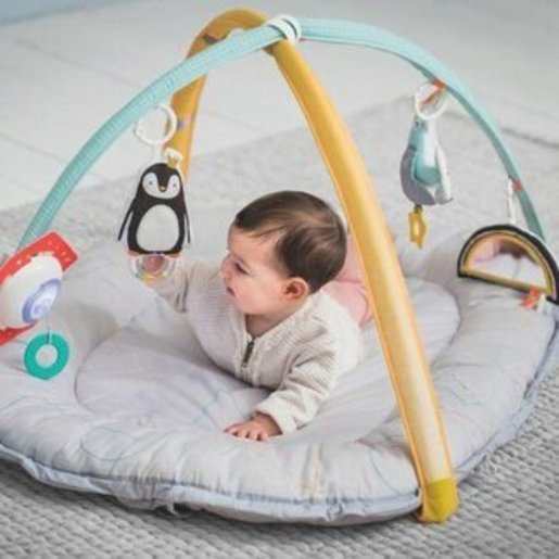 Taf toys musical newborn nest sales & gym