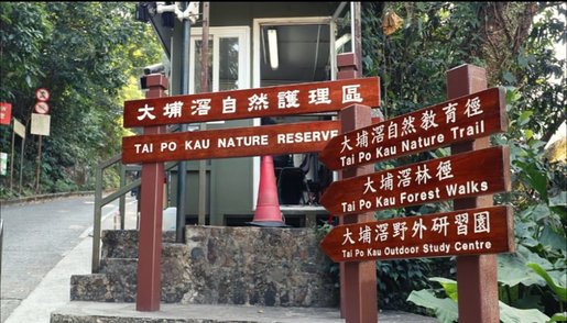 豐盛旅業 1 位 大埔滘自然教育徑睇螢火蟲 小童10歲以下 選擇 小童 Hktvmall 香港最大網購平台