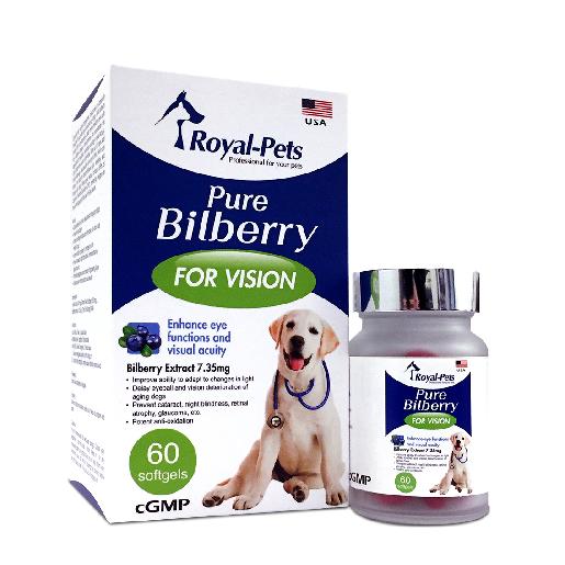 can dogs take bilberry